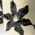 clematis vases